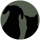 Pour l'animal âgé